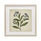 Stupell Industries Blue Buds Botanical Illustration Framed Print Under Glass, design by Petal Prints Design